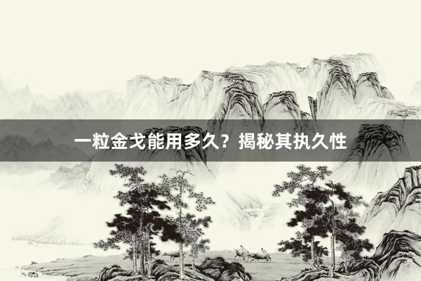 一粒金戈能用多久？揭秘其执久性