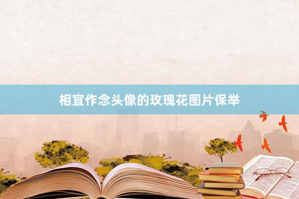 相宜作念头像的玫瑰花图片保举